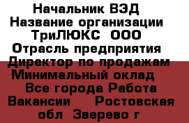 Начальник ВЭД › Название организации ­ ТриЛЮКС, ООО › Отрасль предприятия ­ Директор по продажам › Минимальный оклад ­ 1 - Все города Работа » Вакансии   . Ростовская обл.,Зверево г.